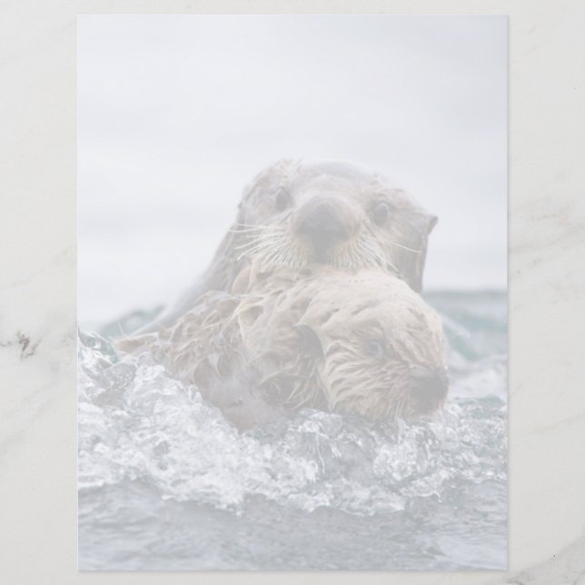 Kutest Baby Animals | Otter Baby en moeder (Voorkant)