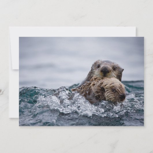 Kutest Baby Animals | Otter Baby en moeder Bedankkaart (Voorkant)