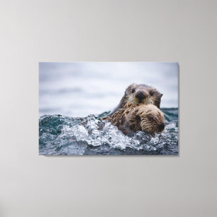 Kutest Baby Animals   Otter Baby en moeder Canvas Afdruk