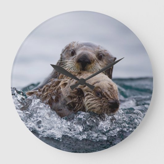 Kutest Baby Animals | Otter Baby en moeder Grote Klok (Voorkant)