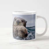 Kutest Baby Animals | Otter Baby en moeder Grote Koffiekop (Rechts)