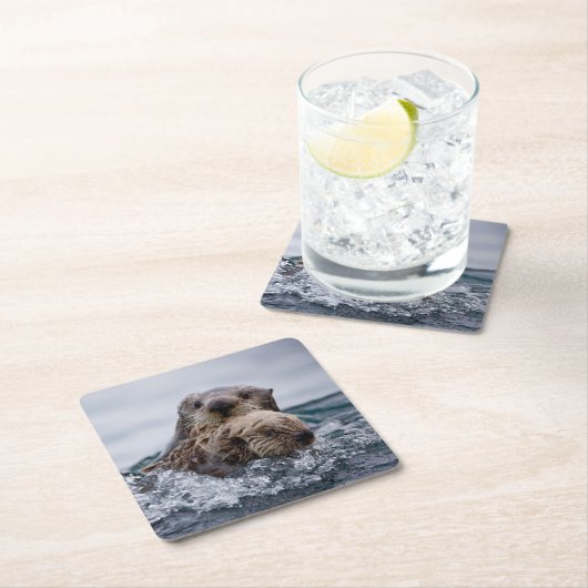 Kutest Baby Animals | Otter Baby en moeder Kartonnen Onderzetters (Insitu)