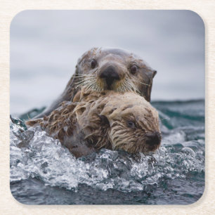 Kutest Baby Animals   Otter Baby en moeder Kartonnen Onderzetters