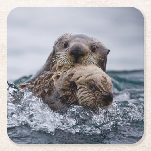 Kutest Baby Animals | Otter Baby en moeder Kartonnen Onderzetters (Voorkant)