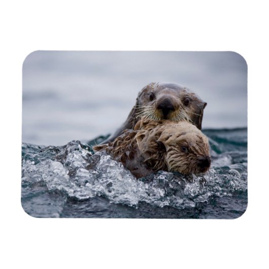 Kutest Baby Animals | Otter Baby en moeder Magneet (Horizontaal)