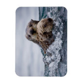 Kutest Baby Animals | Otter Baby en moeder Magneet (Verticaal)