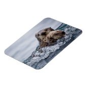 Kutest Baby Animals | Otter Baby en moeder Magneet (Linkerzijde)