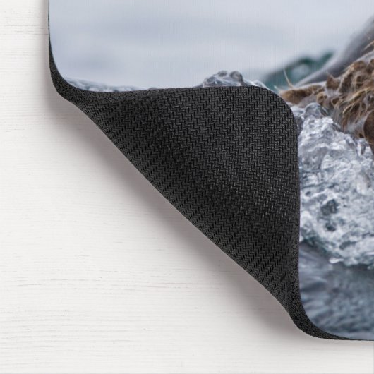 Kutest Baby Animals | Otter Baby en moeder Muismat (Hoek)