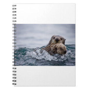 Kutest Baby Animals Otter Baby en moeder Notitieboek