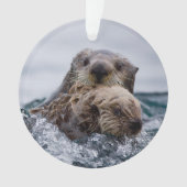 Kutest Baby Animals | Otter Baby en moeder Ornament (voorkant)