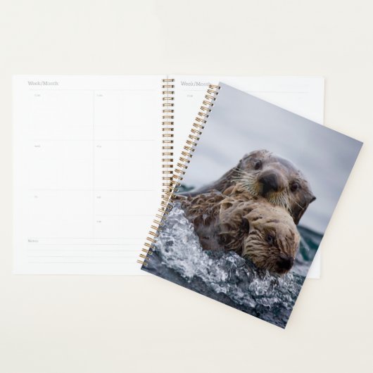Kutest Baby Animals | Otter Baby en moeder Planner (Display)