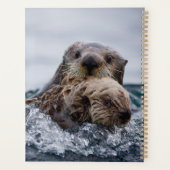Kutest Baby Animals | Otter Baby en moeder Planner (Achterkant)