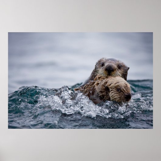 Kutest Baby Animals | Otter Baby en moeder Poster (Voorkant)