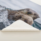 Kutest Baby Animals | Otter Baby en moeder Sherpa Deken (3/4)