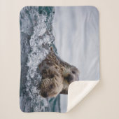 Kutest Baby Animals | Otter Baby en moeder Sherpa Deken (Voorkant)
