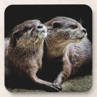 Kutest Baby Animals | Otters Holding Hands