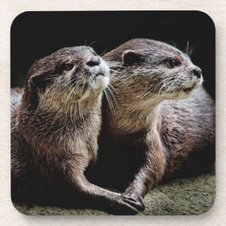 Kutest Baby Animals | Otters Holding Hands Bier Onderzetter