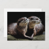 Kutest Baby Animals | Otters Holding Hands Briefkaart (Voorkant / Achterkant)