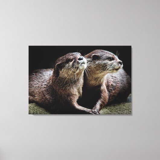 Kutest Baby Animals | Otters Holding Hands Canvas Afdruk (Voorkant)