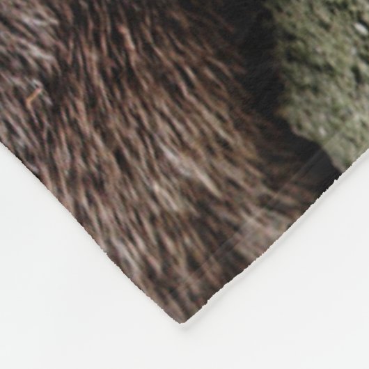 Kutest Baby Animals | Otters Holding Hands Fleece Deken (Hoek)