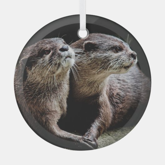 Kutest Baby Animals | Otters Holding Hands Glas Ornament (Voorkant)