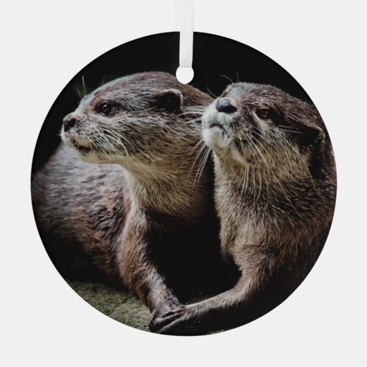 Kutest Baby Animals | Otters Holding Hands Glas Ornament (Achterkant)
