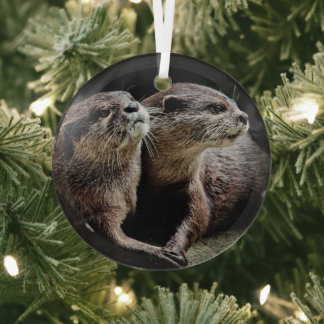 Kutest Baby Animals | Otters Holding Hands Glas Ornament