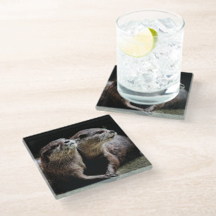 Kutest Baby Animals Otters Holding Hands Glazen Onderzetter