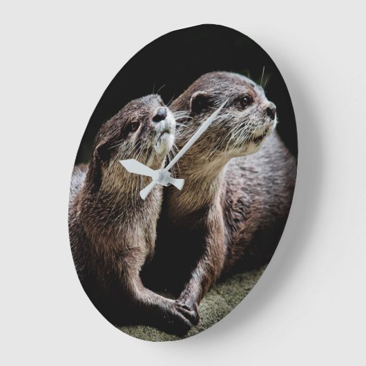 Kutest Baby Animals | Otters Holding Hands Grote Klok (Hoek)