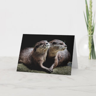 Kutest Baby Animals | Otters Holding Hands Kaart