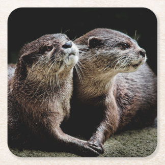 Kutest Baby Animals | Otters Holding Hands Kartonnen Onderzetters