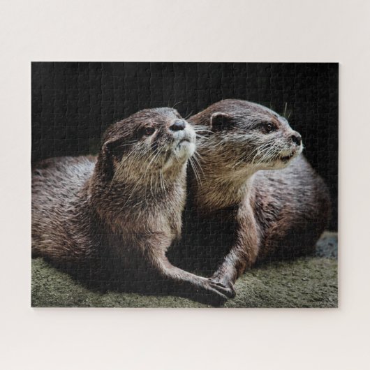 Kutest Baby Animals | Otters Holding Hands Legpuzzel (Horizontaal)