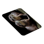Kutest Baby Animals | Otters Holding Hands Magneet (Rechterzijde)