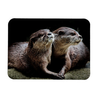 Kutest Baby Animals | Otters Holding Hands Magneet