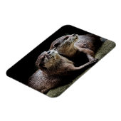 Kutest Baby Animals | Otters Holding Hands Magneet (Linkerzijde)