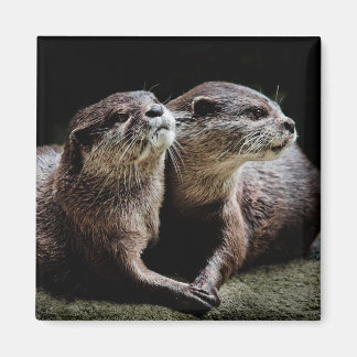 Kutest Baby Animals | Otters Holding Hands Magneet