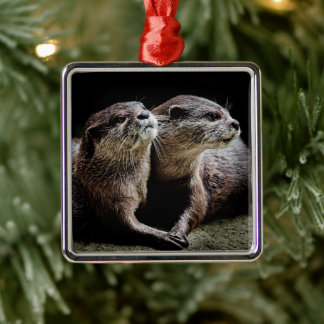 Kutest Baby Animals | Otters Holding Hands Metalen Ornament