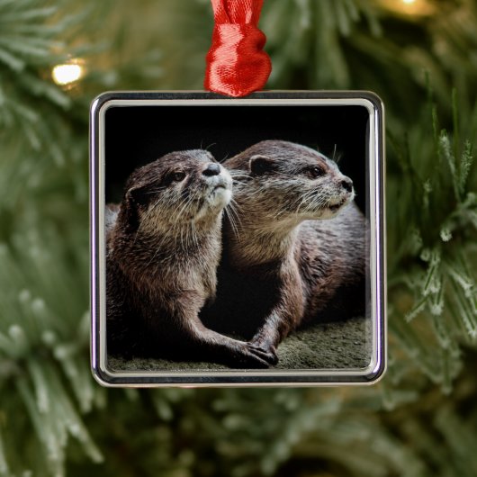 Kutest Baby Animals | Otters Holding Hands Metalen Ornament (Boom)