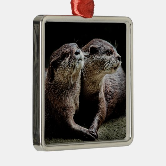 Kutest Baby Animals | Otters Holding Hands Metalen Ornament (Rechts)