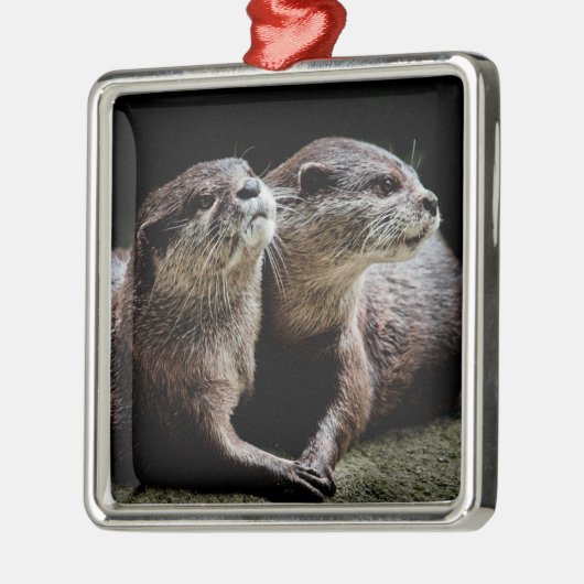 Kutest Baby Animals | Otters Holding Hands Metalen Ornament (Links)