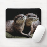 Kutest Baby Animals | Otters Holding Hands Muismat<br><div class="desc">Dit schattige afbeelding van Getty babybeestjes heeft twee otters die handen vasthouden.</div>