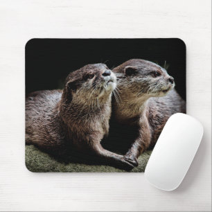Kutest Baby Animals   Otters Holding Hands Muismat