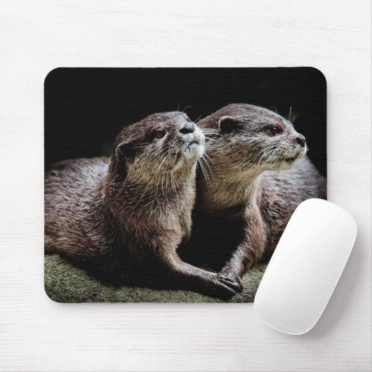 Kutest Baby Animals | Otters Holding Hands Muismat (Met muis)
