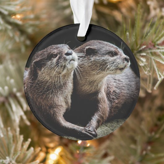 Kutest Baby Animals | Otters Holding Hands Ornament (Boom)