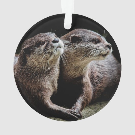 Kutest Baby Animals | Otters Holding Hands Ornament (achterkant)