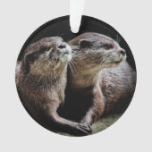 Kutest Baby Animals | Otters Holding Hands Ornament (voorkant)