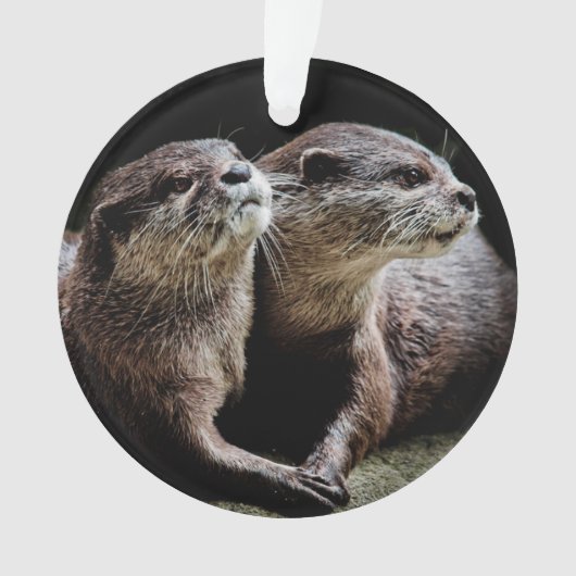 Kutest Baby Animals | Otters Holding Hands Ornament (voorkant)