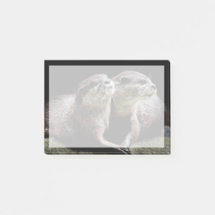 Kutest Baby Animals   Otters Holding Hands Post-it® Notes