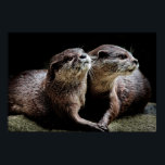 Kutest Baby Animals | Otters Holding Hands Poster<br><div class="desc">Dit schattige afbeelding van Getty babybeestjes heeft twee otters die handen vasthouden.</div>