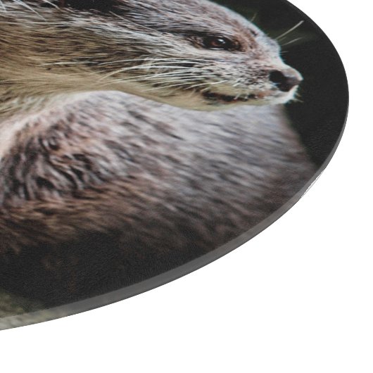 Kutest Baby Animals | Otters Holding Hands Snijplank (Hoek)